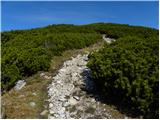 Jakobe - Bistriška špica/Feistritzer Spitze